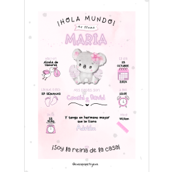 Láminas y Natalicios